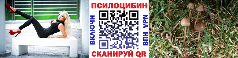 Псилоцибиновые грибы Cubensis  Купить  Алушта 